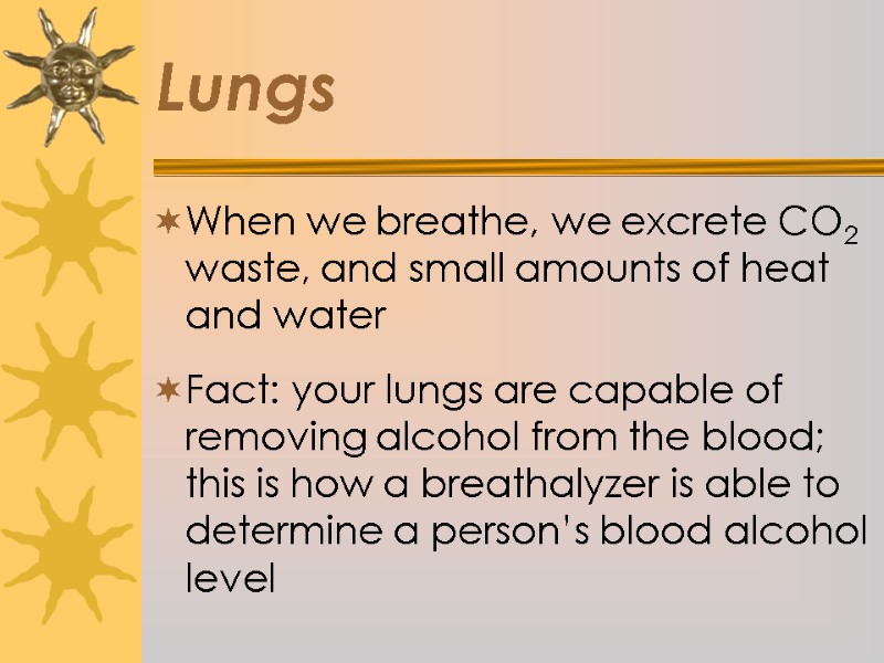 Lungs When we breathe, we excrete CO2 waste, and small amounts of heat and